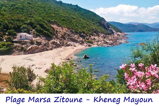 marsa zitoune 4.jpg